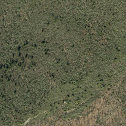 Satellite imagery of Jonas Ridge, US