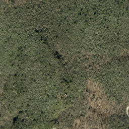 Satellite imagery of Jonas Ridge, US
