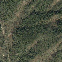 Satellite imagery of Ripshin Ridge, US