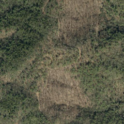 Satellite imagery of Ripshin Ridge, US