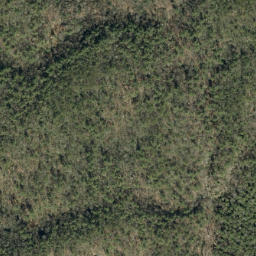 Satellite imagery of Ripshin Ridge, US