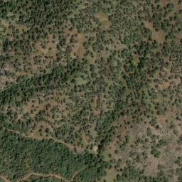 Satellite imagery of Pinnell Camp Ridge, US