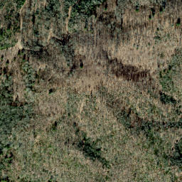 Satellite imagery of Scraggy Ridge, US