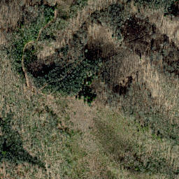 Satellite imagery of Scraggy Ridge, US