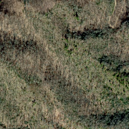 Satellite imagery of Scraggy Ridge, US