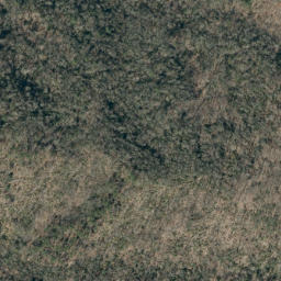 Satellite imagery of Askew Ridge, US