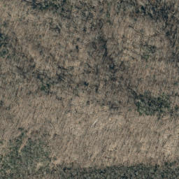 Satellite imagery of Askew Ridge, US