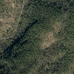 Satellite imagery of Lettered Rock Ridge, US