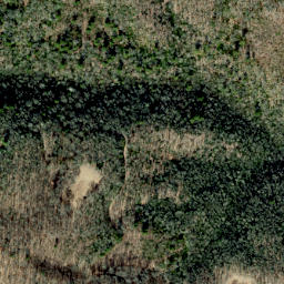 Satellite imagery of Scraggy Ridge, US