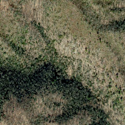 Satellite imagery of Scraggy Ridge, US