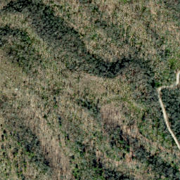 Satellite imagery of Scraggy Ridge, US