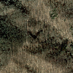 Satellite imagery of Ramsey Ridge, US