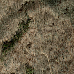 Satellite imagery of Wolfpit Ridge, US