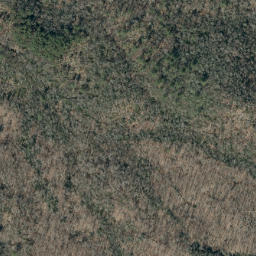 Satellite imagery of Askew Ridge, US