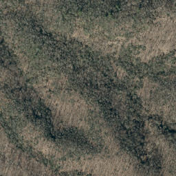 Satellite imagery of Askew Ridge, US
