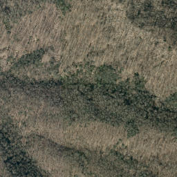Satellite imagery of Askew Ridge, US