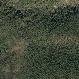 Satellite imagery of Lettered Rock Ridge, US