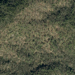 Satellite imagery of Lettered Rock Ridge, US