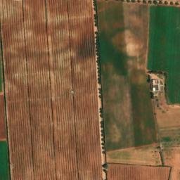 Satellite imagery of Djebel Djazzar, DZ