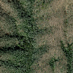 Satellite imagery of Roundtop Ridge, US