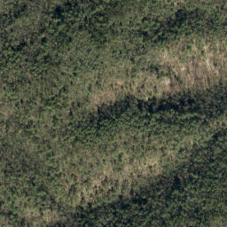 Satellite imagery of Lettered Rock Ridge, US