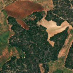 Satellite imagery of Djebel Goumi, DZ