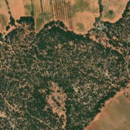 Satellite imagery of Djebel Goumi, DZ