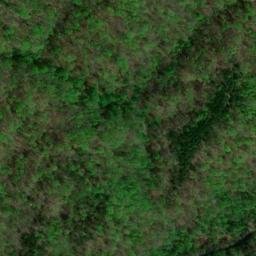 Satellite imagery of Whittle Ridge, US