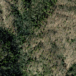 Satellite imagery of Roundtop Ridge, US