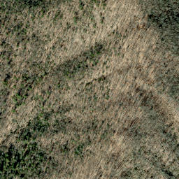 Satellite imagery of Roundtop Ridge, US