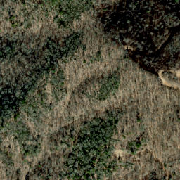 Satellite imagery of Dog Ridge, US