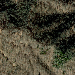 Satellite imagery of Dog Ridge, US