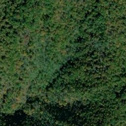 Satellite imagery of Chestnut Ridge, US