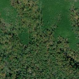 Satellite imagery of Beetree Knob Prospect, US