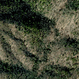 Satellite imagery of Roundtop Ridge, US
