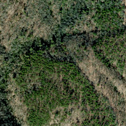 Satellite imagery of Roundtop Ridge, US