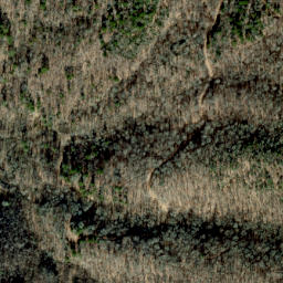 Satellite imagery of Dog Ridge, US