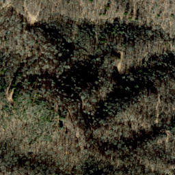 Satellite imagery of Dog Ridge, US