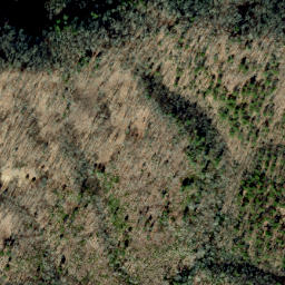 Satellite imagery of Mill Ridge, US