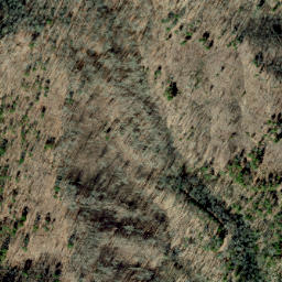 Satellite imagery of Mill Ridge, US
