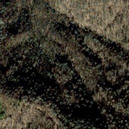 Satellite imagery of Dog Ridge, US