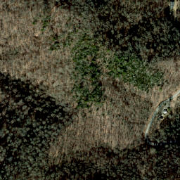 Satellite imagery of Dog Ridge, US