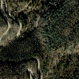 Satellite imagery of Dog Ridge, US