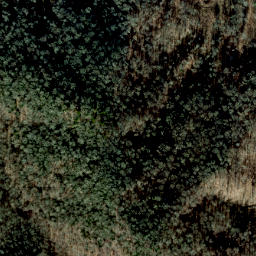 Satellite imagery of Rocky Ridge, US