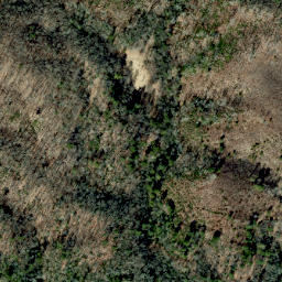 Satellite imagery of Mill Ridge, US