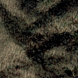 Satellite imagery of Deading Ridge, US