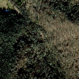 Satellite imagery of Rocky Ridge, US