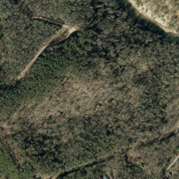 Satellite imagery of Carter Ridge, US