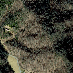 Satellite imagery of Pilot Ridge, US