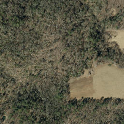 Satellite imagery of Carter Ridge, US